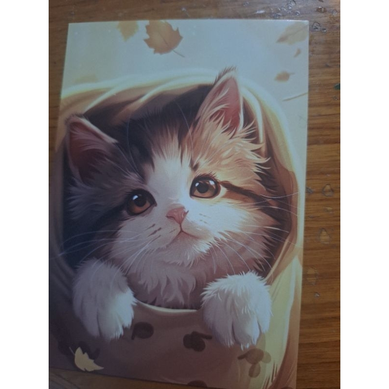 

kartu pos Kucing/cat postcard