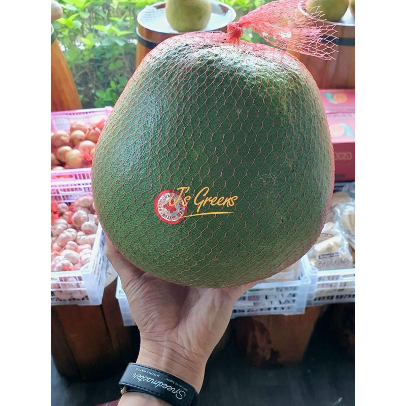 

Pomelo Jeruk Bali Wijaya