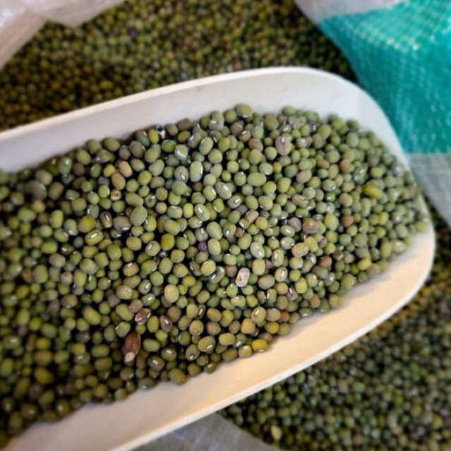 

Kacang hijau kacang ijo lokal grade A dan biasa mentah 500gr-1kg