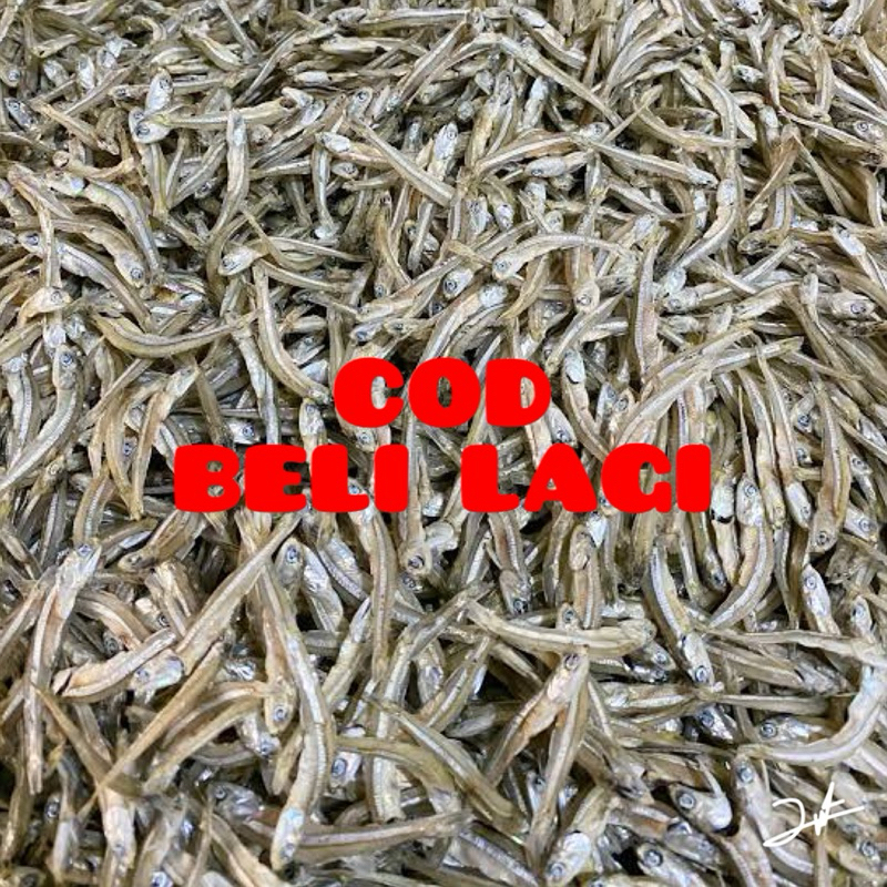 

ikan teri tawar 500gram segar fresh