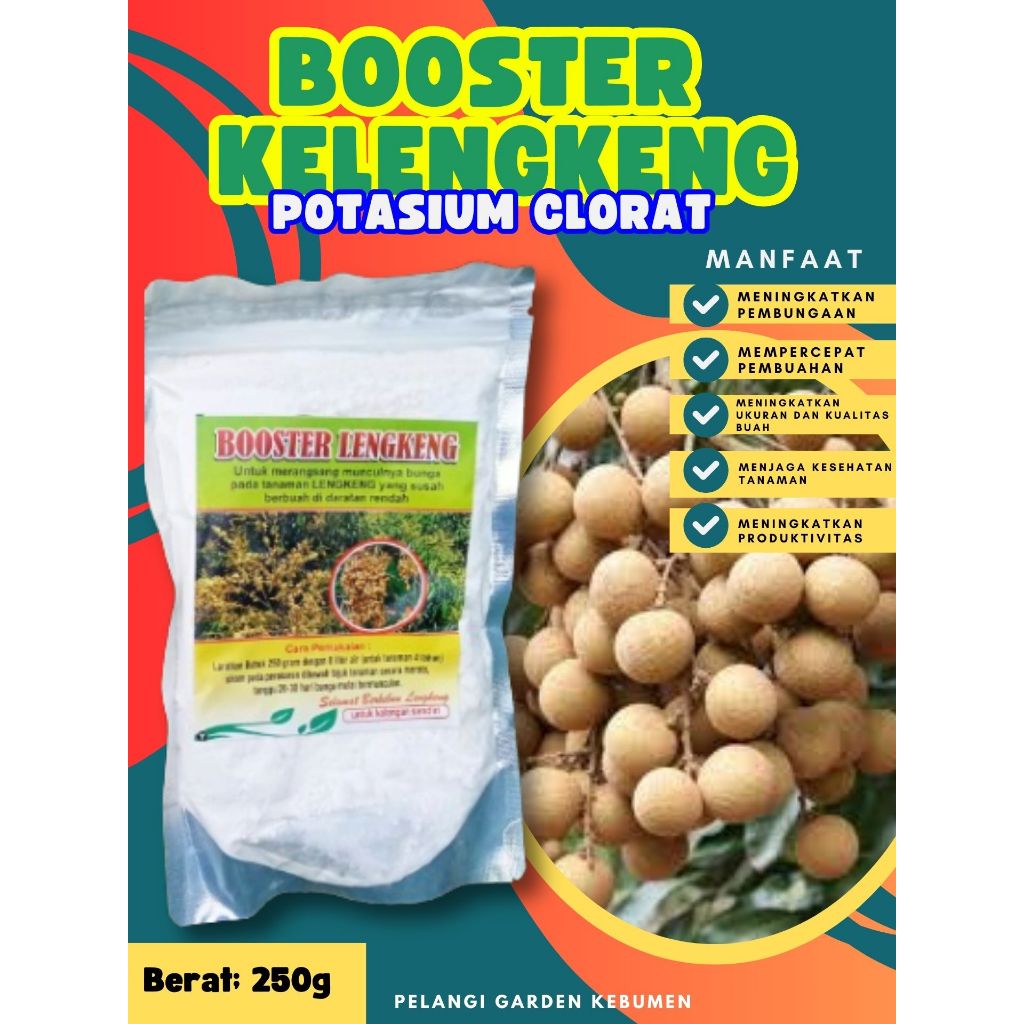 DIJAMIN ASLI  Boster Kelengkeng Kristal, Boster Kelengkeng Kcl03