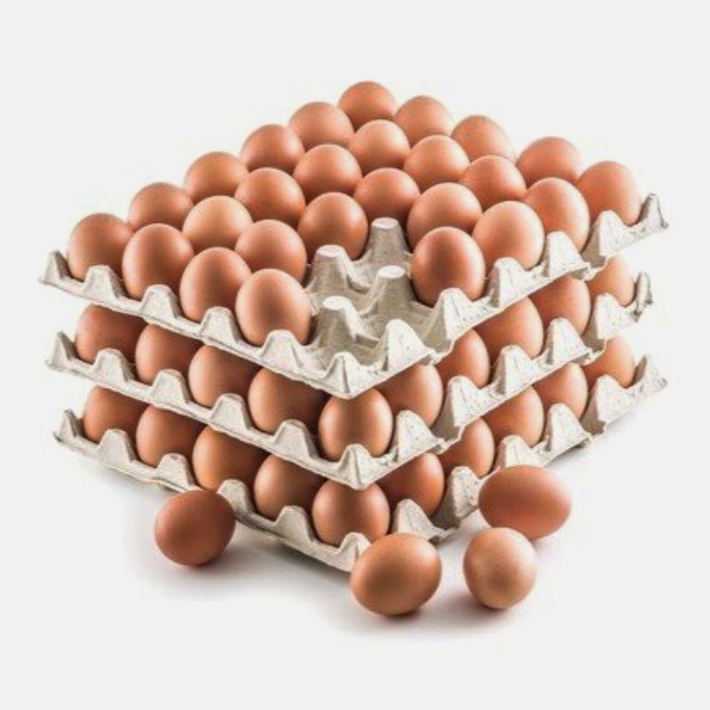 

Telur Ayam Ras ukuran Sedang & Besar Fresh setiap hari Telor Ayam Negeri • 30 butir / 1 piring papan tray