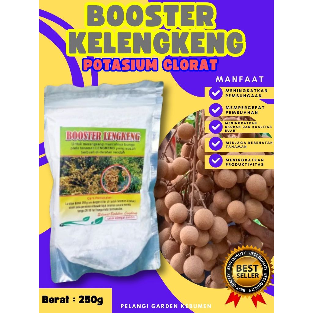 PANEN BERLIPAT..!  ! Booster Kelengkeng New Kristal Cangkok, Booster Kelengkeng New Kristal Berbuah,
