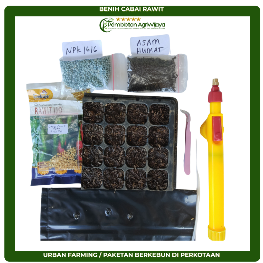 

Cabai Rawit Ijo Urban Farming – Paket Lengkap Tanam Sendiri di Rumah untuk Lahan Terbatas