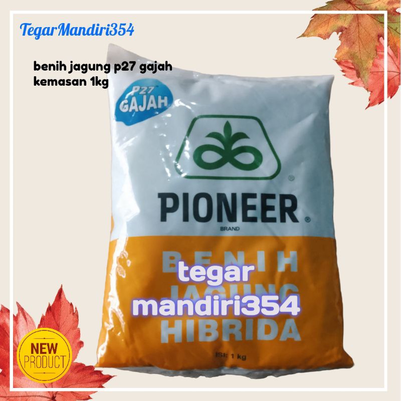 Benih jagung P27 gajah pioner 27 gajah kemasan 1kg p27 gajah