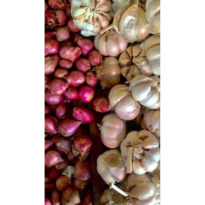 

bawang merah mix baput 1/2kg bersih