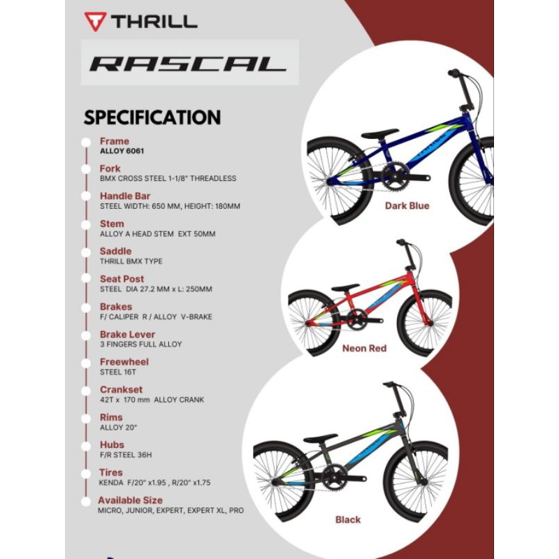 Sepeda 20 BMX Thrill Rascal