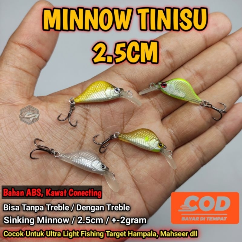 MINNOW TINISU 2.5CM / MINOW / MINNOW UNTUK MAHSEER / MINNOW HAMPALA / UMPAN CASTING HAMPALA