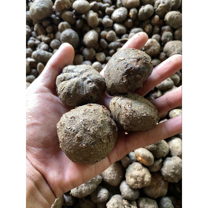

KATAK SUPER 1KG ISI 70-100