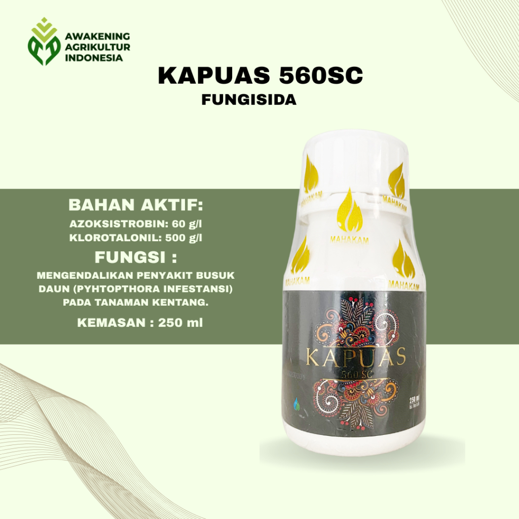 KAPUAS 560SC 250ML FUNGISIDA untuk mengendalikan penyakit hawar daun