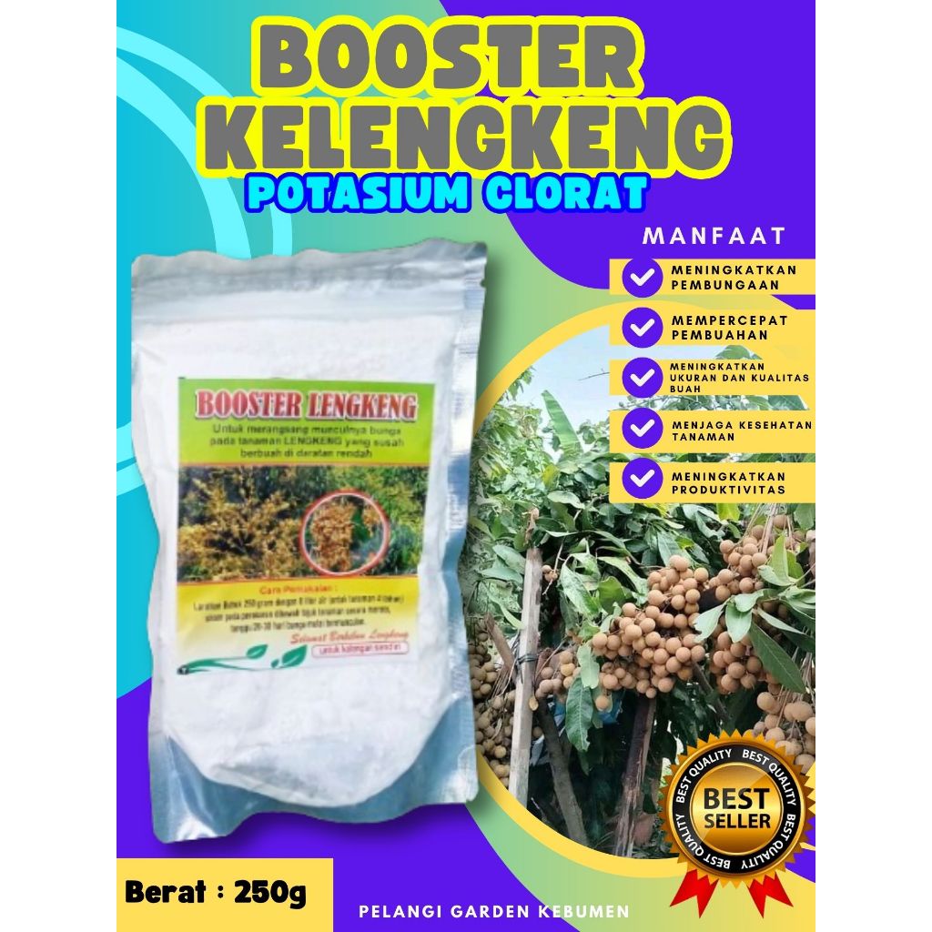 BOOSTER TERBAIK..   Pupuk Buah Kelengkeng Bubuk, Pupuk Buah Kelengkeng Berbuah, Pupuk Buah Kelengken