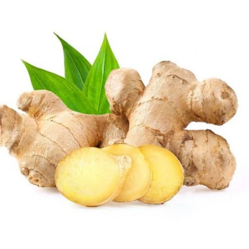 

PANJAITAN JUAL REMPAH JAHE ASLI EMPRIT ORIGINAL PETIKAN SENDIRI