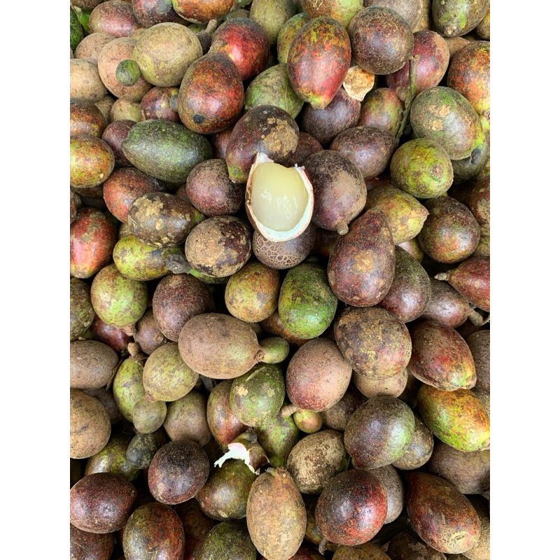 

Matoa Merah Pekanbaru asli 1 Kilo local manis