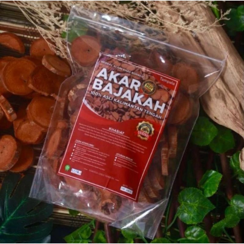 

AKAR BAJAKAH MERAH Sudah dipotong dan siap rebus khas Kalimantan