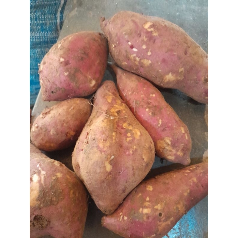 

Ubi Ungu Manis Mentah Segar 1kg / Umbi Jalar