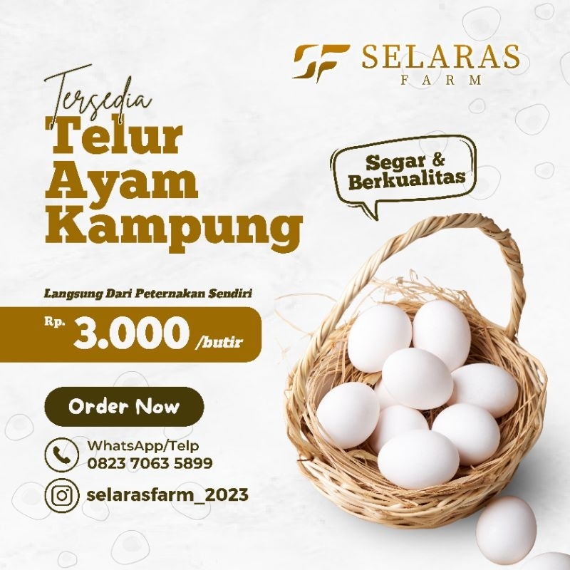 

Telur Ayam Kampung