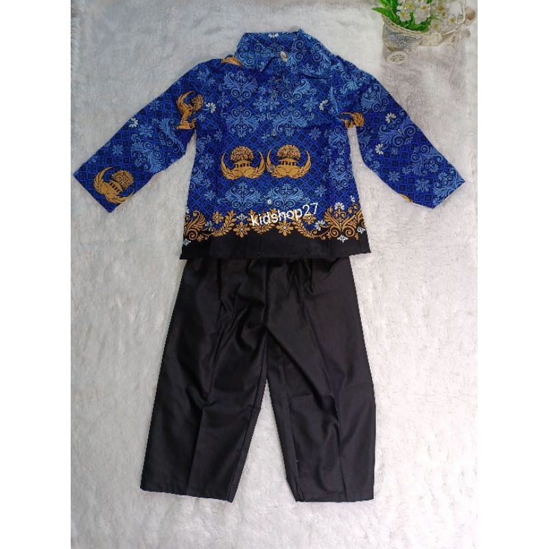 FREE ONGKIR BAJU GURU ANAK PEREMPUAN DAN LAKI-LAKI KOSTUM PROFESI ANAK BAJU KARNAVAL ANAK