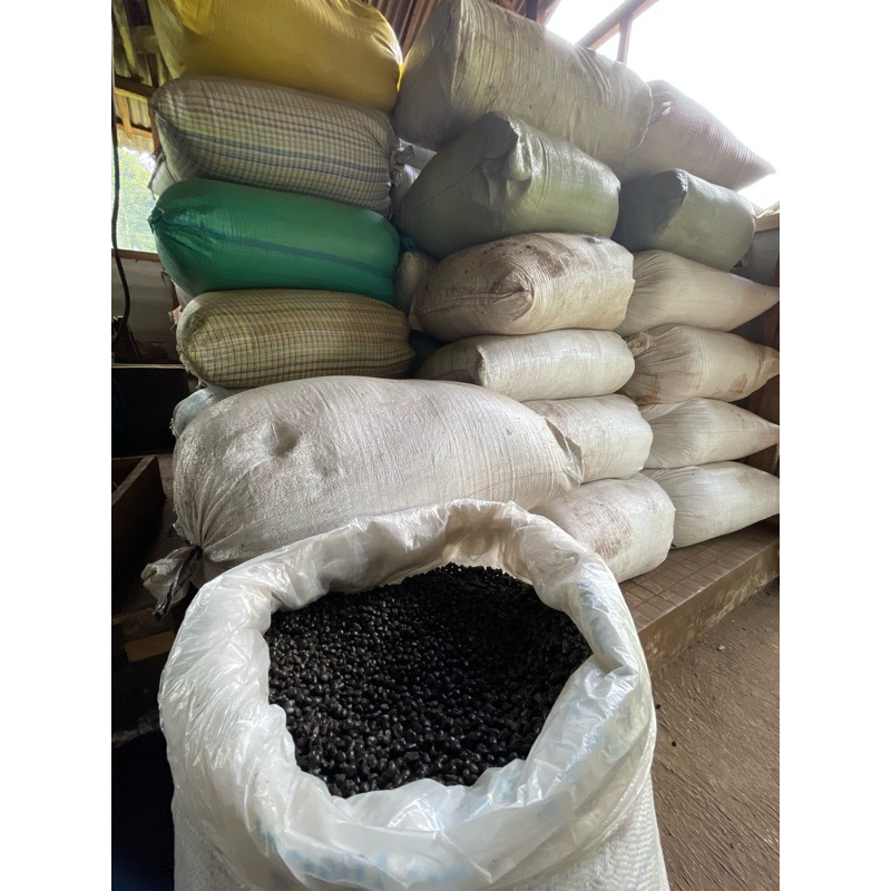

Jagung Oven Spesial harga (TERMURAH) READY KIRIM SETIAP HARI!!
