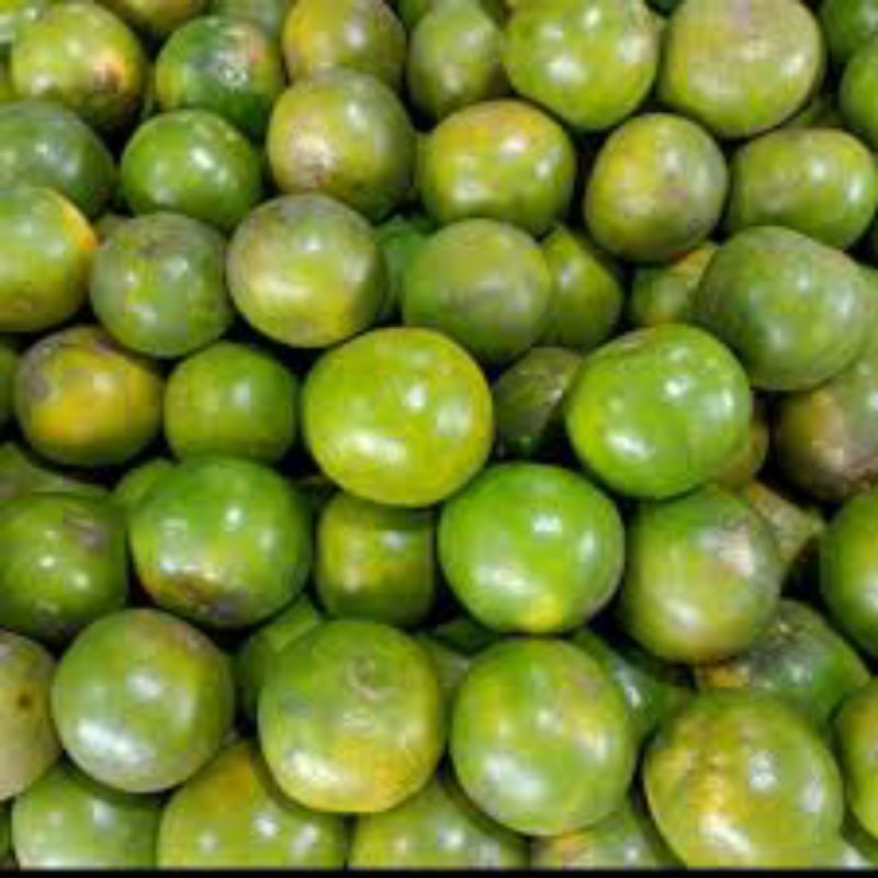 

JERUK BW JERUK MANIS KECUT SEGAR