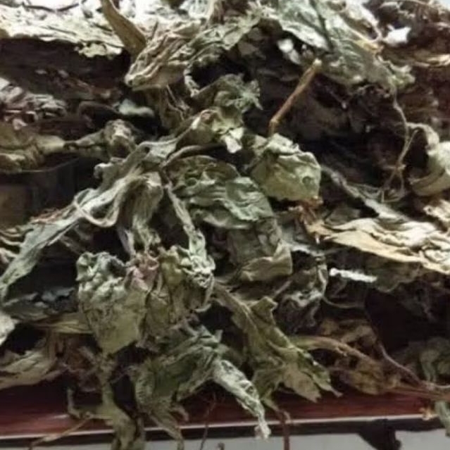 

Daun Insulin kering 250 Gram insulin