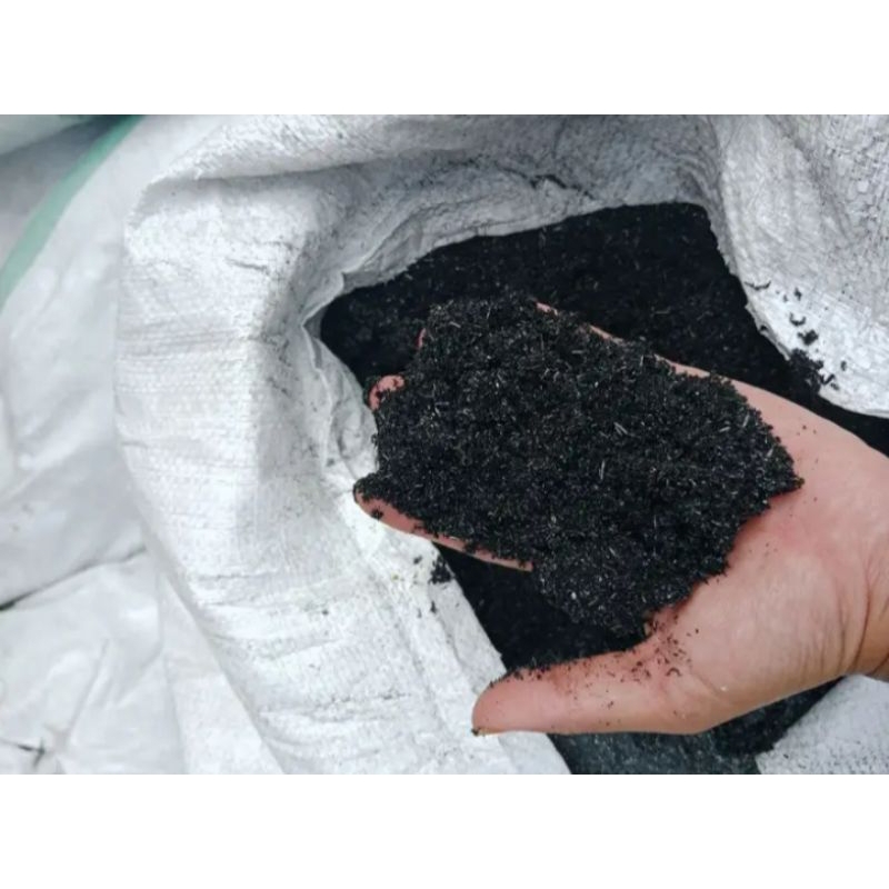 SEKAM BAKAR/SEKAM MENTAH FERMENTASI UNTUK MEDIA TANAM