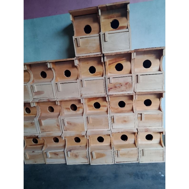 Glodok topi Lovebird parkit breding koloni tempat bertelur burung