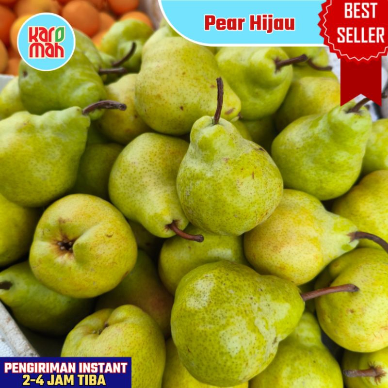 

BEST SELLER BUAH PIR HIJAU PAHKAM 500 GR FRESH MANIS INSTANT BUAH PEAR JAMBU HIJAU PAHKAM IMPORT BUAH SEGAR INSTANT