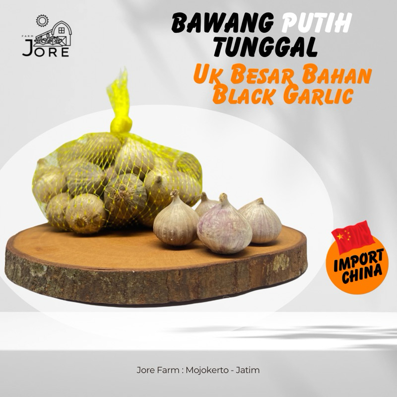 

Promo Bawang Putih Tunggal 1KG FRESH Bahan Black Garlic / Bawang Tunggal china / Bawang Putih Lanang