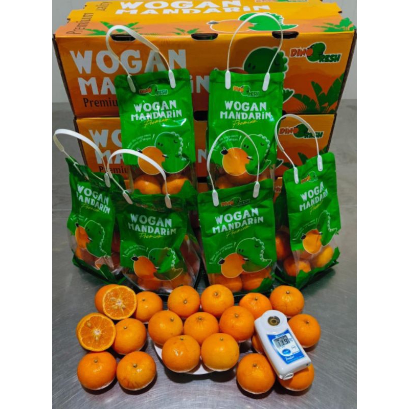

Jeruk Wogan Mandarin Bag Dino seedleess
