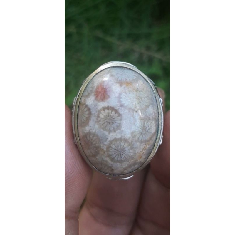 NATURAL Akik Lawasan TERATAI PUTIH,  Jumbo, Motif Bunga Warna-Warni, Tembus Senter