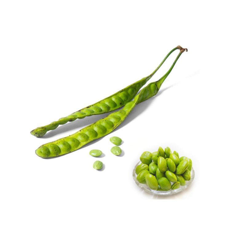 

Petai Papan Orange Farm 2pcs