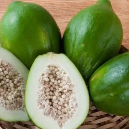 

Buah Pepaya Muda segar 1 kg