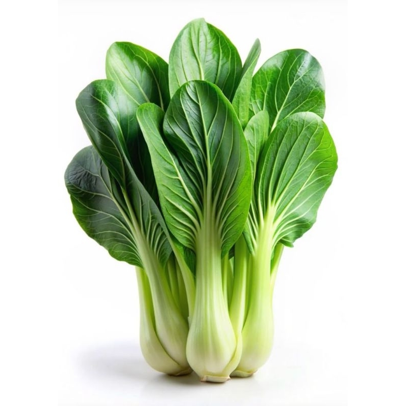 

Benih Biji Bibit Sawi Pakcoy Nauli F1 Cap Panah Merah Benih Sayuran Pakchoy Hidroponik Tanaman Sayur Super