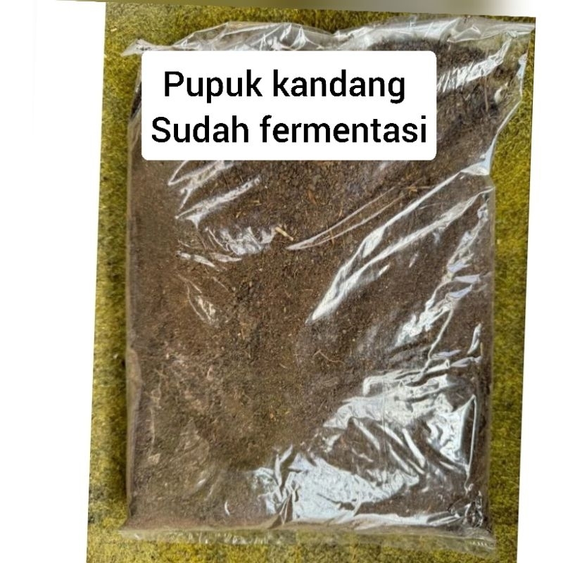 pupuk kandang,sekam bakar,cocopeat