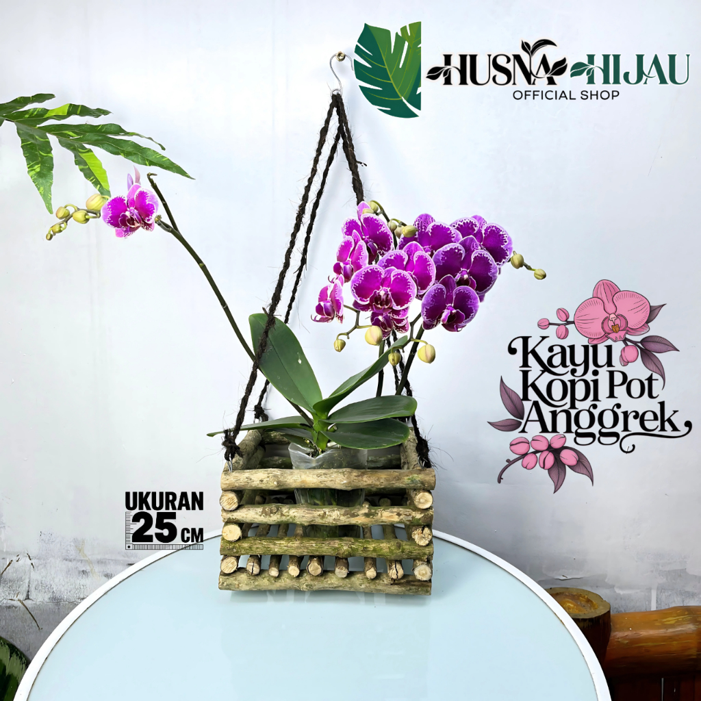 Husna hijau, Kayu kopi media pot tanam - tempel anggrek & mounting papan platycerium