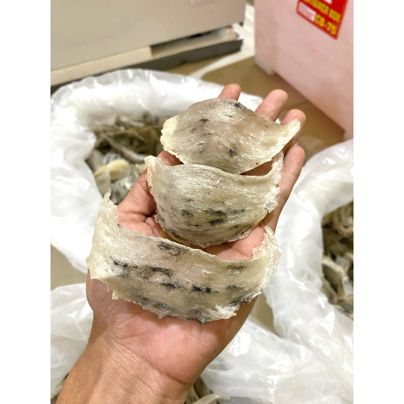 

Sarang Burung Walet OVAL Putih Jawa Kotor 100% Original (HARGA PER GRAM)