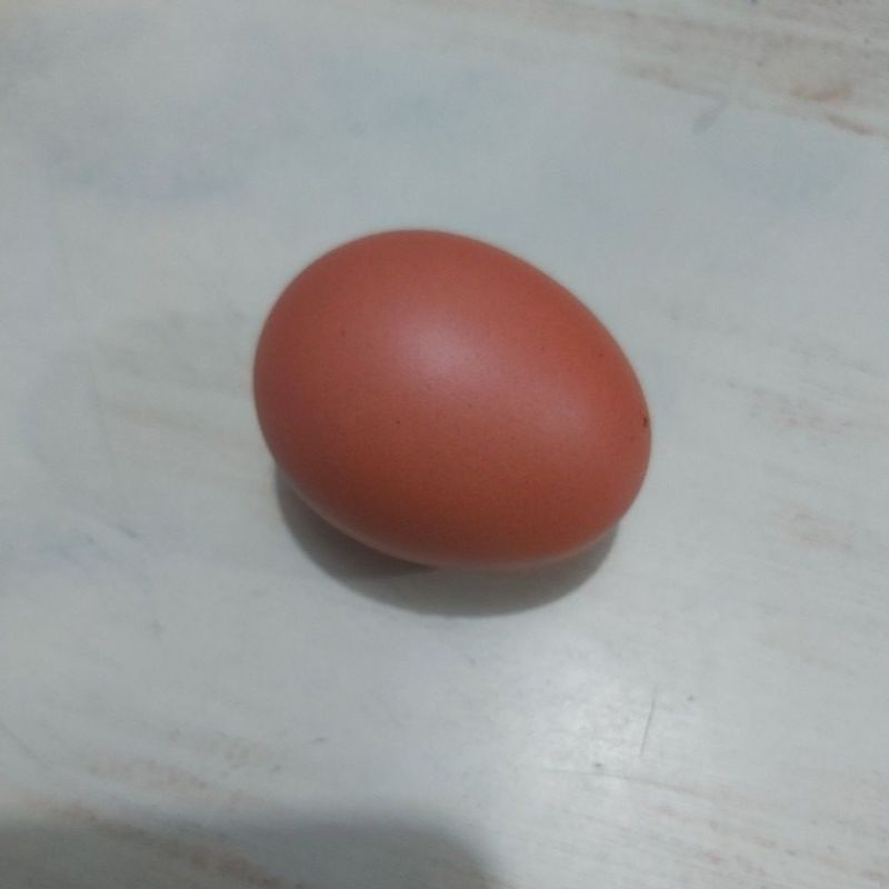 

Telur Ayam Negeri Per Butir