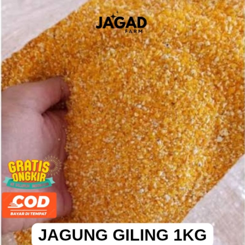 JAGUNG GILING 1 KG
