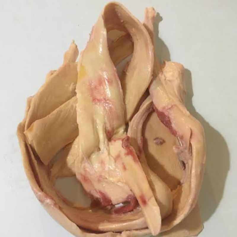 

urat mayang sapi 1kg utuhan beef tendon