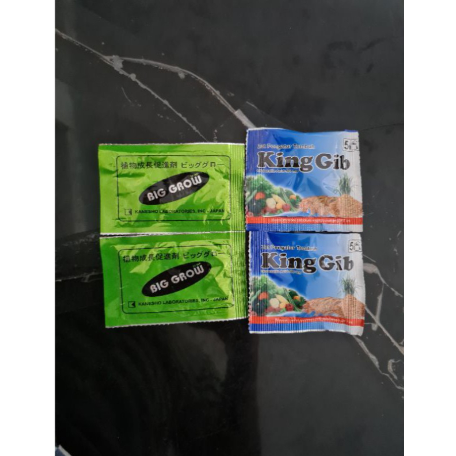 Big Grow Biggrow Dan Kinggib King Gib Pembesar Buah Naga
