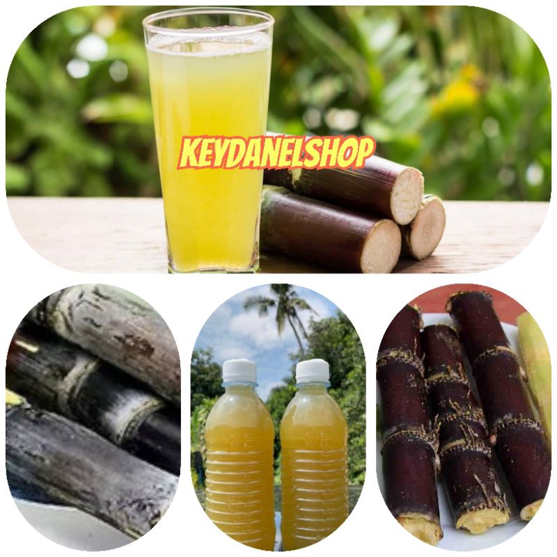 

Air tebu asli bermacam air tebu pilihan 100 ml