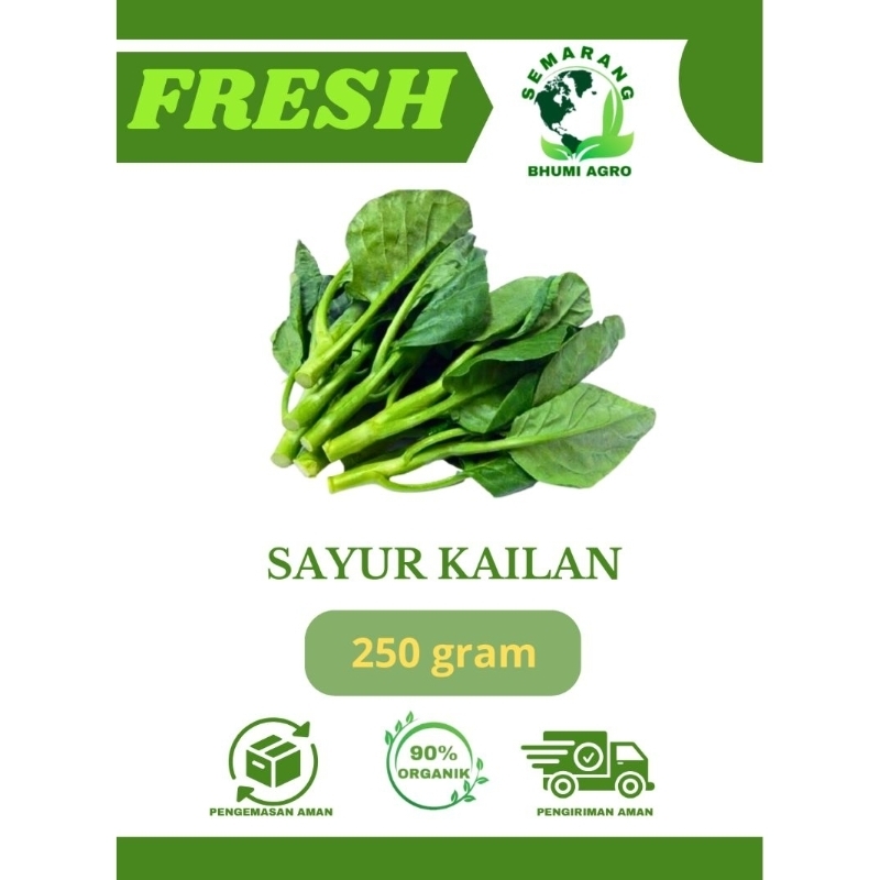 

Sayur Kailan Baby Segar & Organik – 250gr | BHUMI AGRO