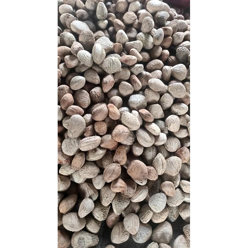 

KLUWEK PUCUNG RAWON 500GRAM