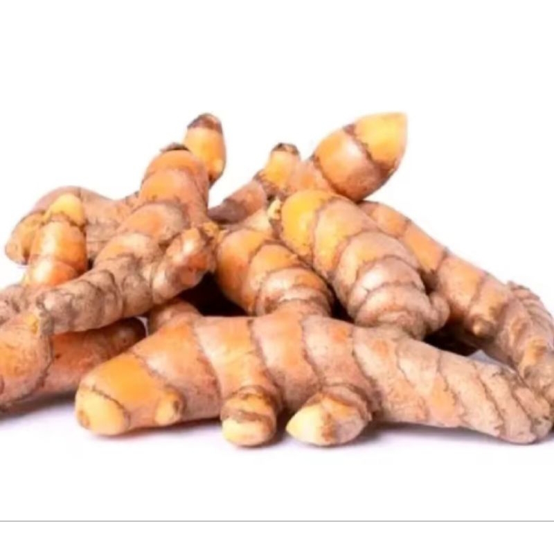 

kunyit kuning-laja lengkuas-sufer fresh 1kg