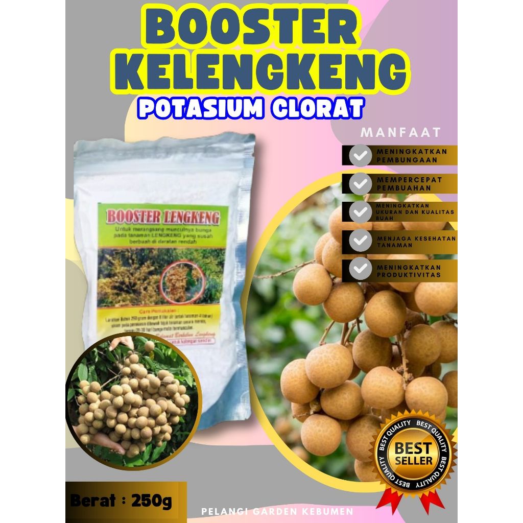 UNGGULAN  Boster Kelengkeng Longan, Boster Kelengkeng Murni250 gram
