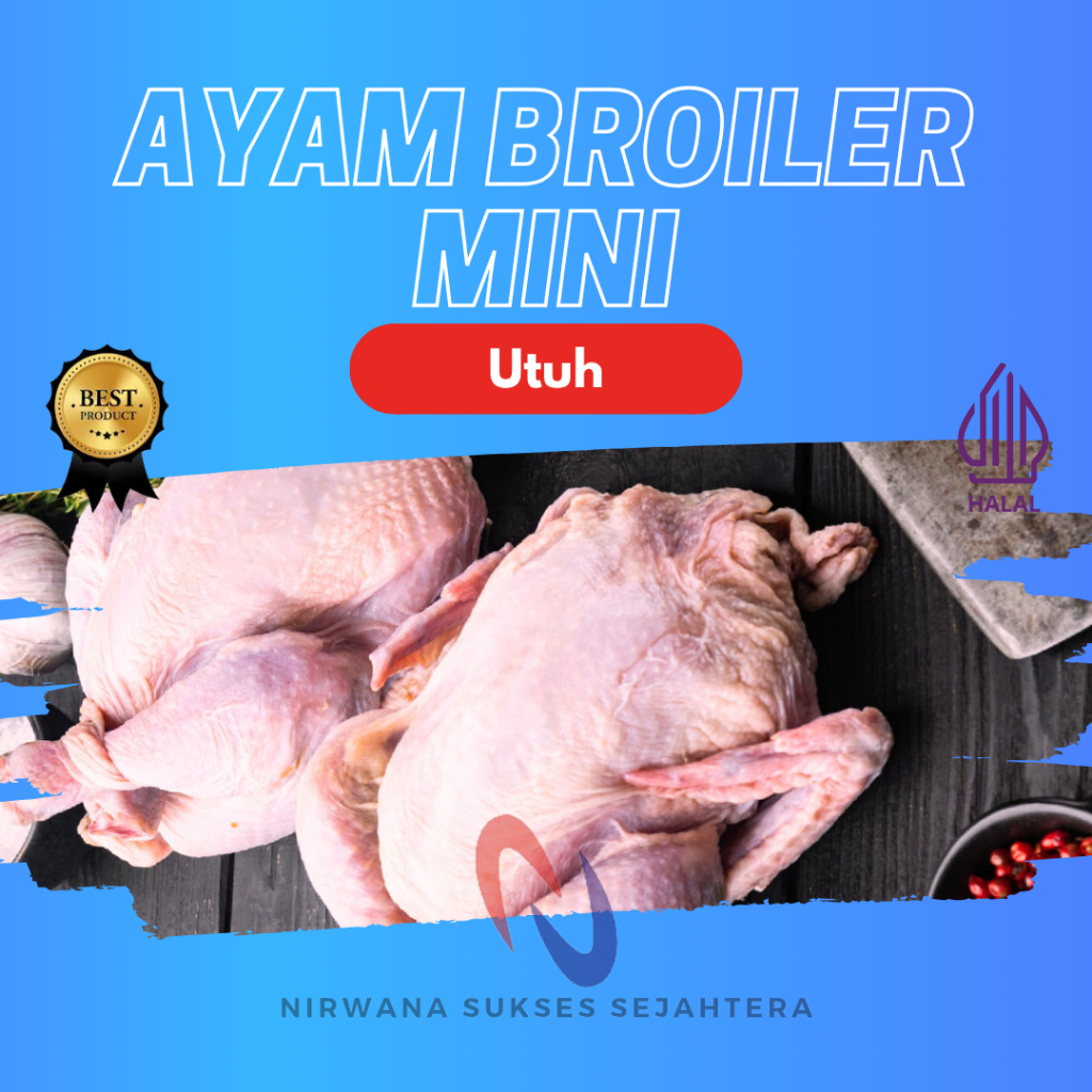 

AYAM MINI, AYAM TG, AYAM NEGERI UTUH / WHOLE MINI BROILER CHICKEN