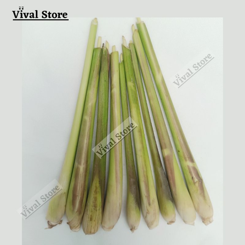 

Sereh Serai Segar Rempah Bumbu Dapur Lemongrass Fresh