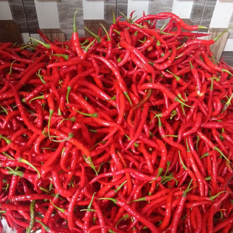 

CABE MERAH KERITING