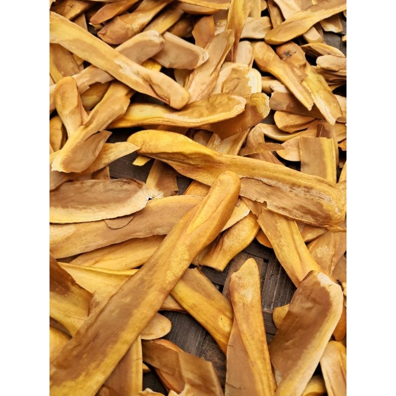 

jual biji mahoni kering obat herbal alami 100 pik