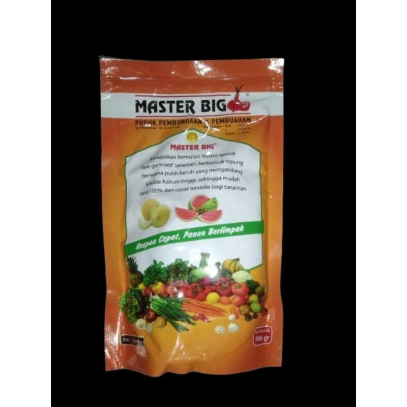 pupuk master big 500 gram